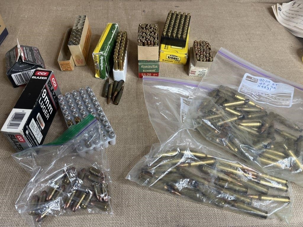 ammo lot - 25-20, 25 auto, 9mm, 6mm & more