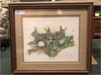 Framed print by Jim Oliver Eastern Cottontail,