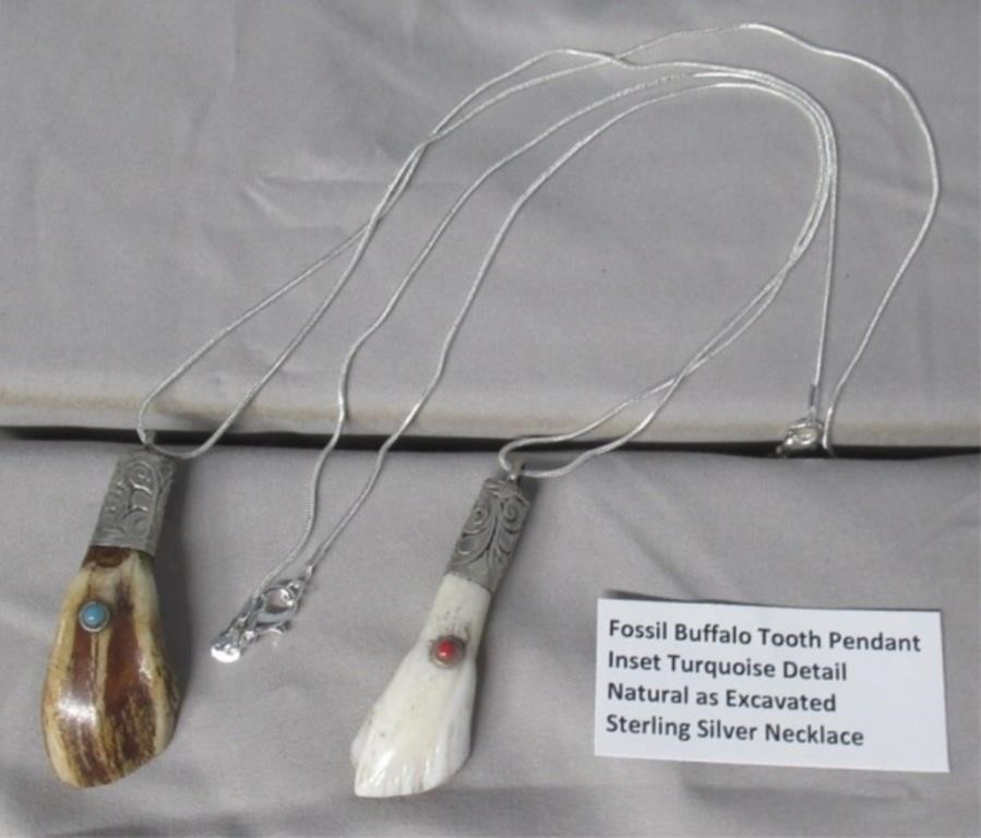 (2) Fossil Buffalo Tooth Pendants on Sterling