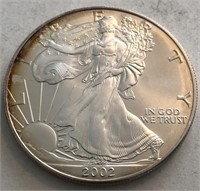 2002 UNC America Silver Eagle Dollar