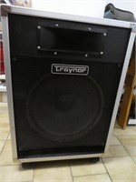 Traynor Floor Speaker