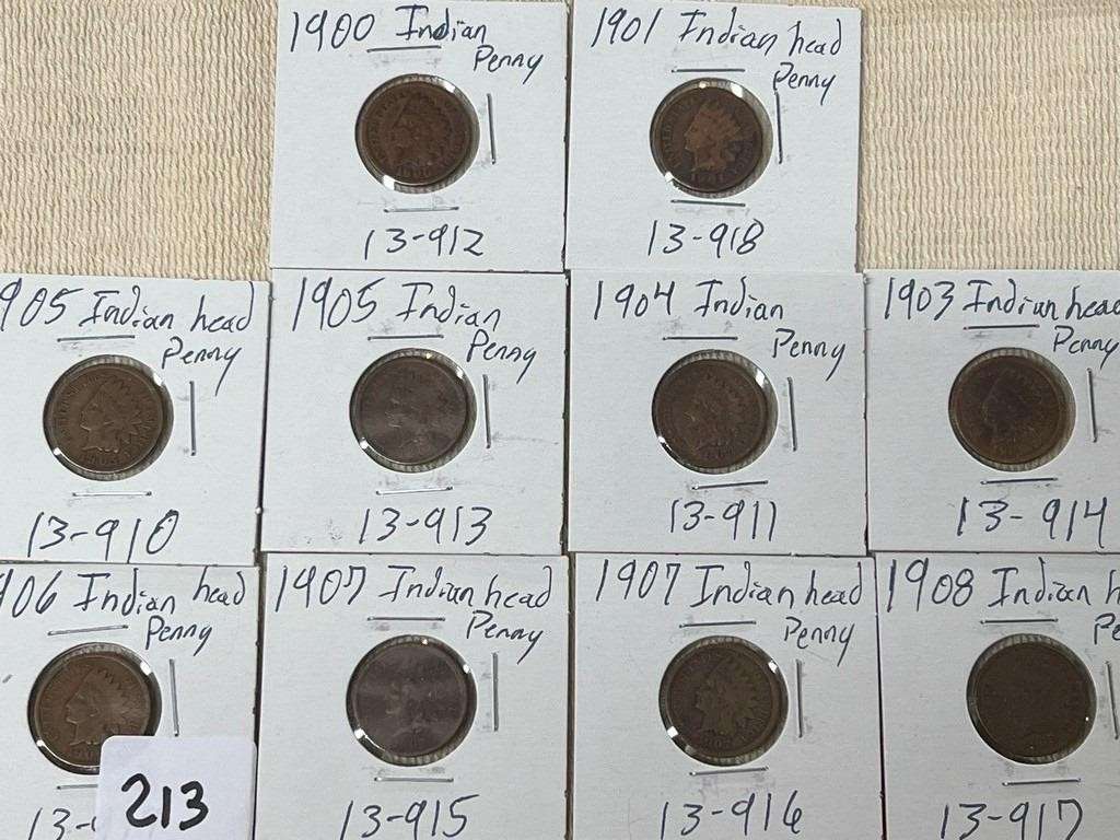(10) Indian Head Pennies