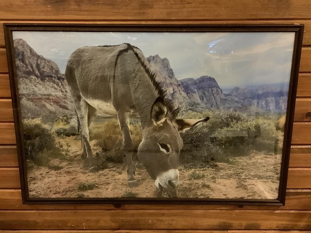 Framed desert burro poster print.