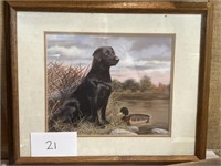 Framed "Black Lab" Lithograph by Andrew Chapman