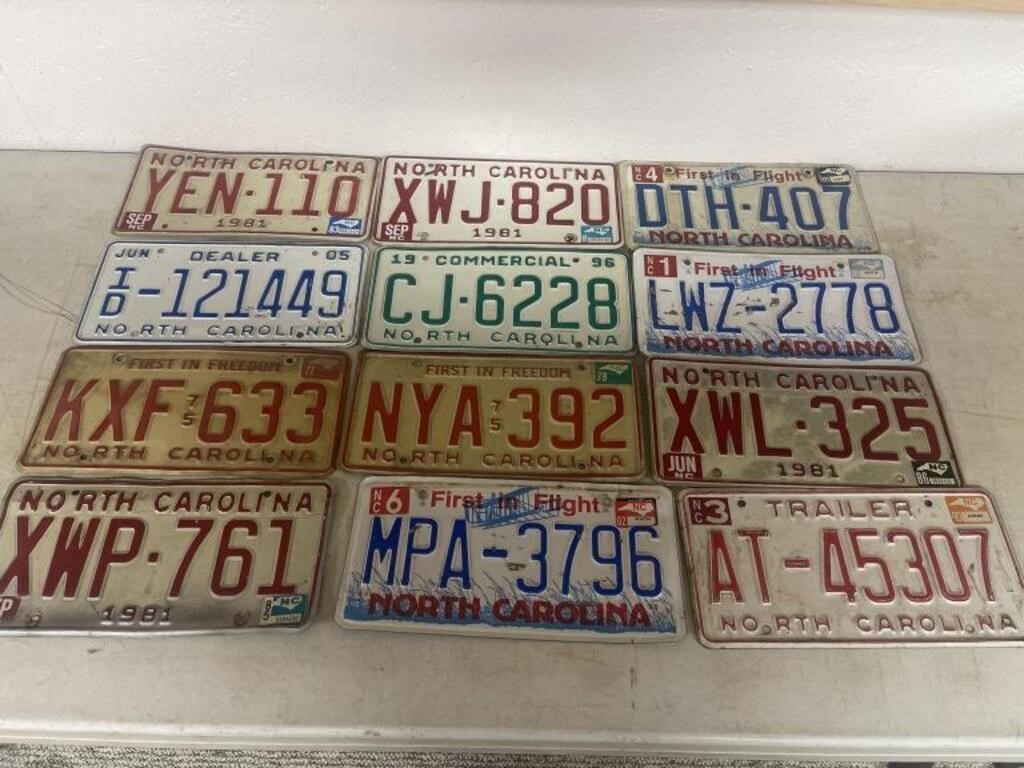 12 Assorted License Plates