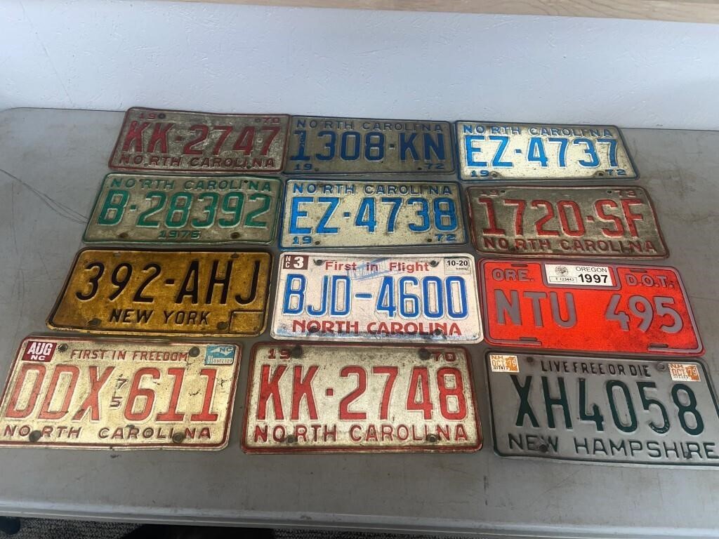 12 Assorted License Plates