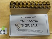 5.56 Rnds 20ct