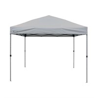 1 Member's Mark 10' x 10' Instant Canopy