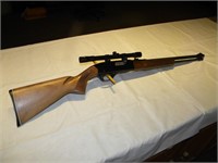 winchester 290 22cal