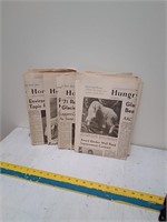 Group of Vintage hungry horse news papers