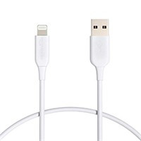 1ft Basics ABS USB Type a to Lightning Cable Cord