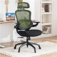 B205  YOUTASTE Ergonomic Mesh Office Chair, Green
