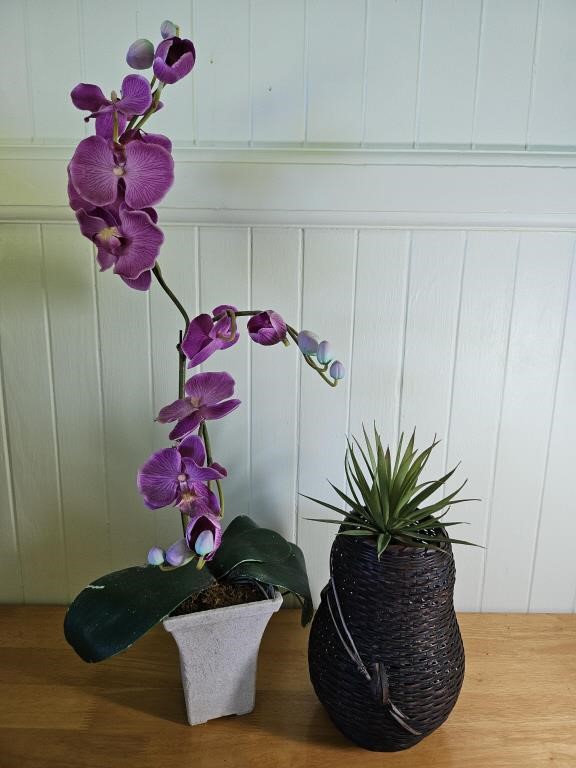 Artificial orchid and  Succulent