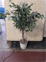 silk  tree White basket