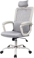 Smugdesk Ergonomic Mesh High Back Chair