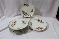 Lot of 11 Trinket Plates