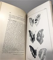 First Edition Rare Publication of Lepidoptera