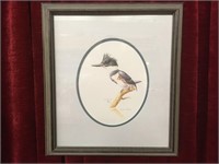 Frank Jordan Kingfisher Print 8/50