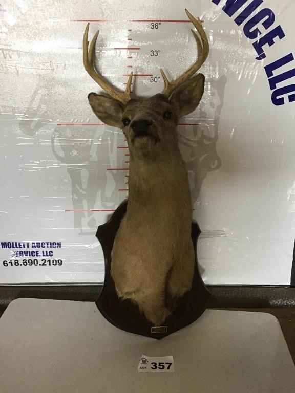 DEER MOUNT