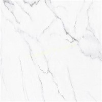 31.5x15.75in White Marble Cover  6-Pack
