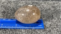 Quartz Polished Egg