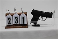 Sig Sauer P365 9mm Pistol #66A276893