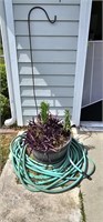 Garden Planter With Live Plants, Shepherds Hook +