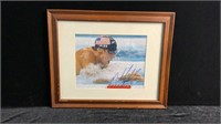 Michael Phelps Autographed Photo