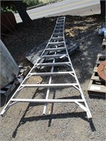 14' Orchard Ladder