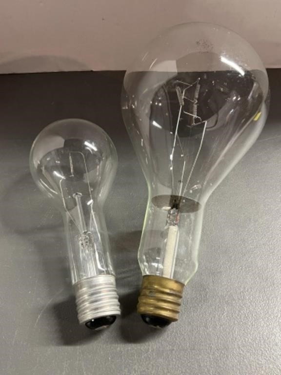 (2) HUGE BULBS