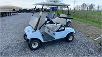 Club Car DS Golf Cart