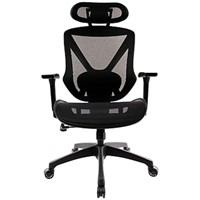 Dexley Ergonomic Mesh Swivel Task Chair