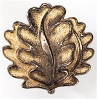 Oakleaves to the Knight's Cross Award