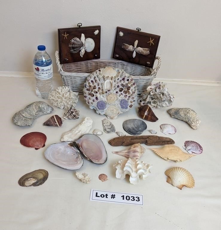 SHELLS AND SHELL ART