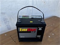 Everstart 550cca Battery