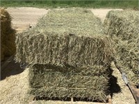 10 Square Bales of 2nd Crop Grass Mix