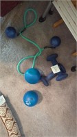 Weight and exercise balls