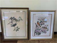 Two Large Bird Prints Framed
