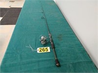 Fishing pole & Shimano reel
