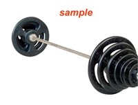 Olympic Bar with 310 lbs Weight Plates