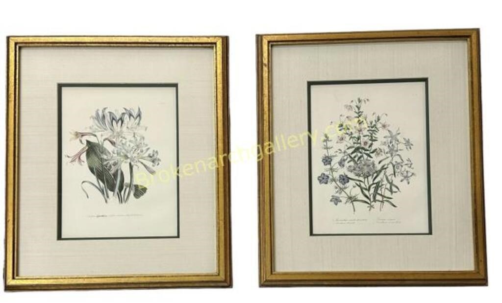 Pair Botanical Prints after Jane Loudon