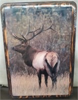 Wood Elk Photo 15.5x21.5