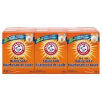 6-Pk Arm & Hammer Pure Baking Soda, 500 g