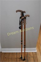 Pair of Walking Sticks