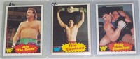 Lot of 3 1985 O-Pee-Chee WWF cards