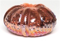 Lefton Iridescent Sea Urchin Paper Weight