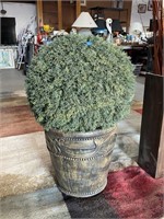 Realistic Faux Hedge in Pot, Quality