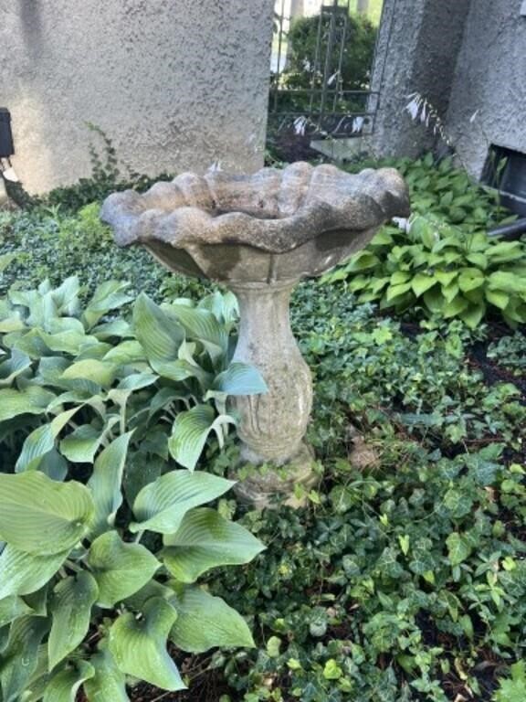 Cement Bird Bath