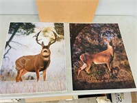 pair of whitetail deer prints - unframed 16 x 20"