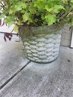 Pair of Cement Planters